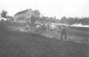 Oráč v Starej Pazove okolo roku 1920